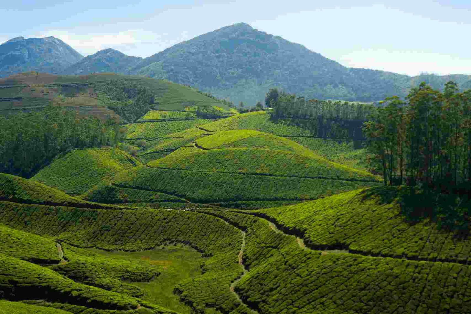 Kerala: God's Own Country Best Places to Visit in India